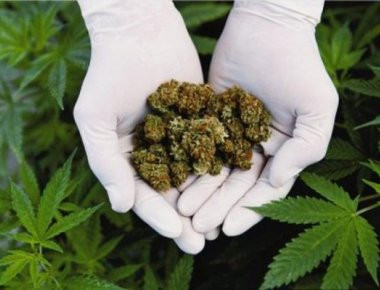 Ηράκλειο: Βρέθηκε εργαστήριο καλλιέργειας κάνναβης σε σπίτι